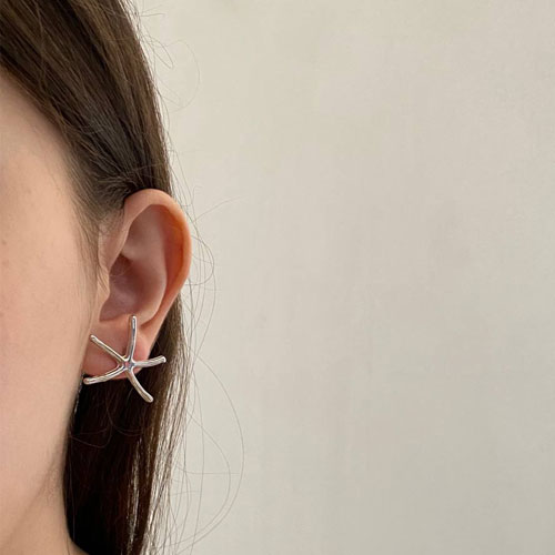 گوشواره ستاره ساحل